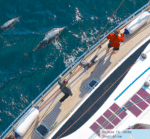 Μπαλόνια πλώρης POLYFORM Σειρά F με διπλό μάτι Λευκό - Image 2