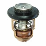 Θερμοστάτης για Yamaha 66M-12411-01