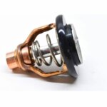 Θερμοστάτης για Yamaha 6AW-12411-00