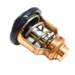 Θερμοστάτης για Yamaha 6DA-12411-01