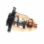 Θερμοστάτης για Yamaha 6FP-12411-00